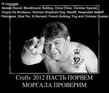 Прикрепленное изображение: 722336_-crufts-2012-past-porvem-morgala-proverim_demotivators_ru.jpg